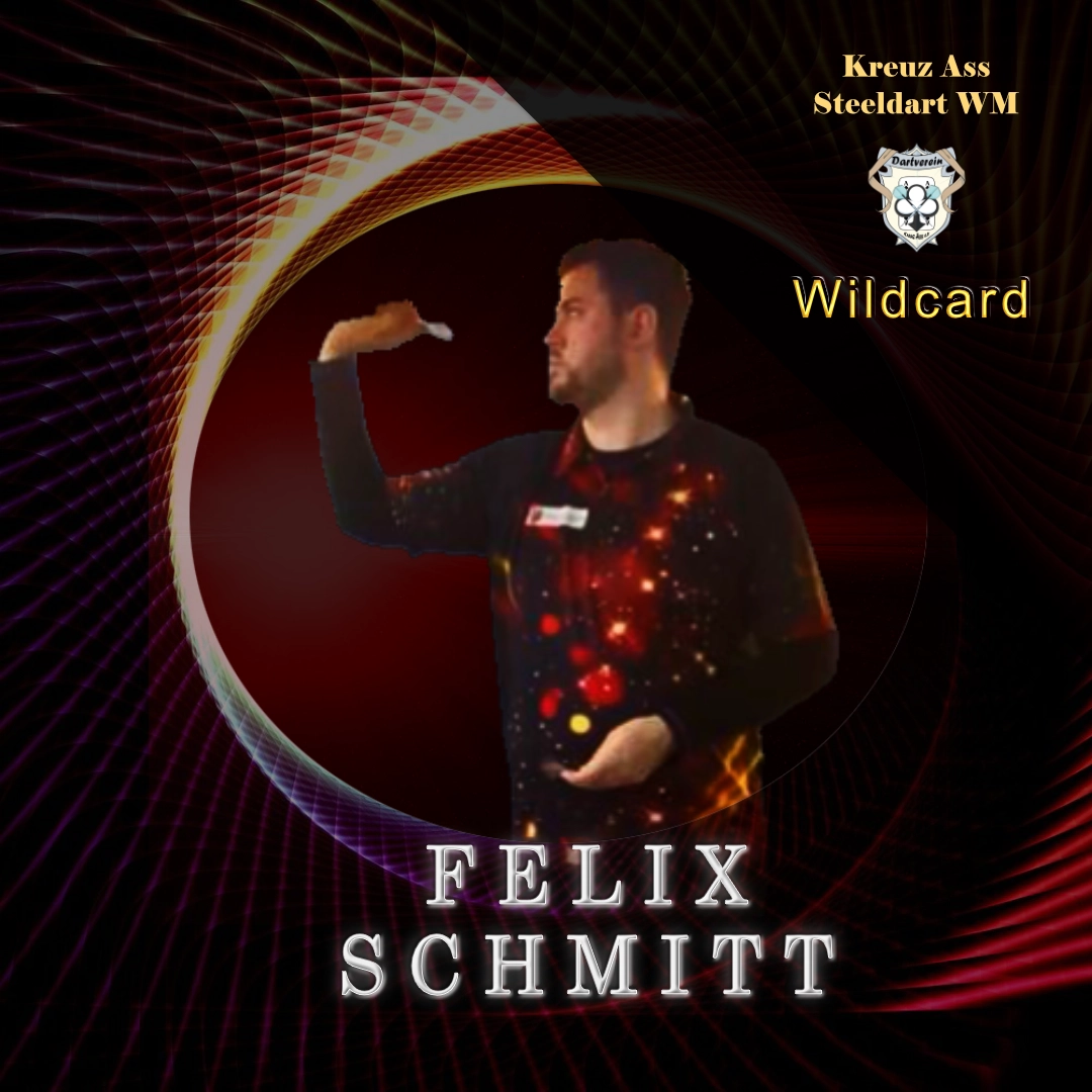 Read more about the article Wildcard – Felix Schmitt